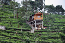 ADUBETTU LEISURE