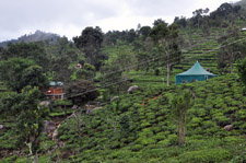 ADUBETTU LEISURE